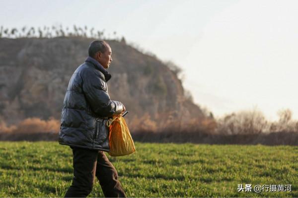 山西大山發現巴基斯坦國鳥，6旬“鳥叔”守護6年，看鳥兒活成啥樣