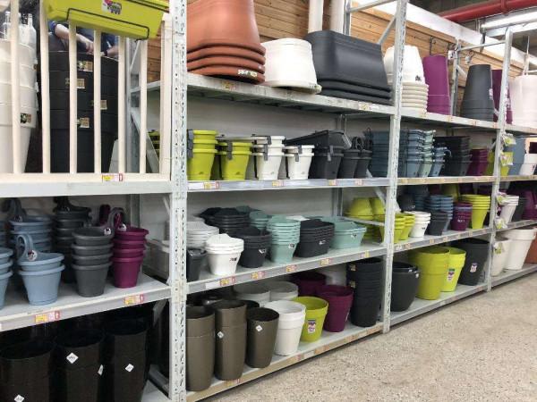 新買的植株不開花?3個細節要做對,快來學習一下 新買的植株不開花?3個細節要做對,快來學習一下