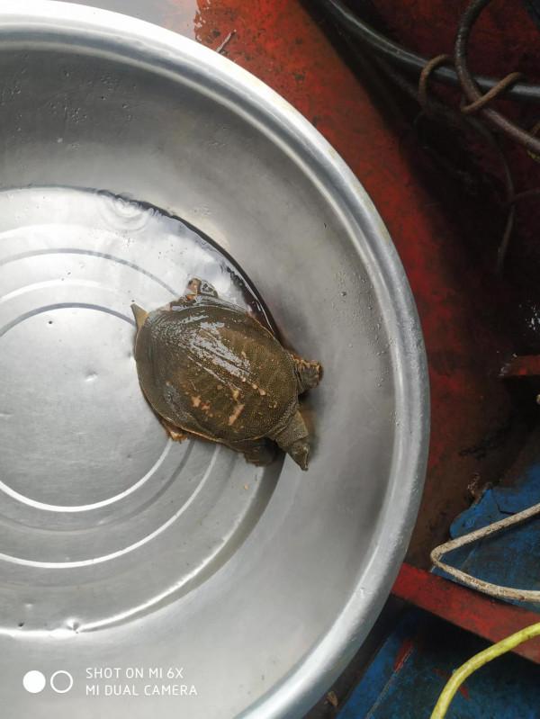 釣魚做幌子，吃土特產河鮮是真