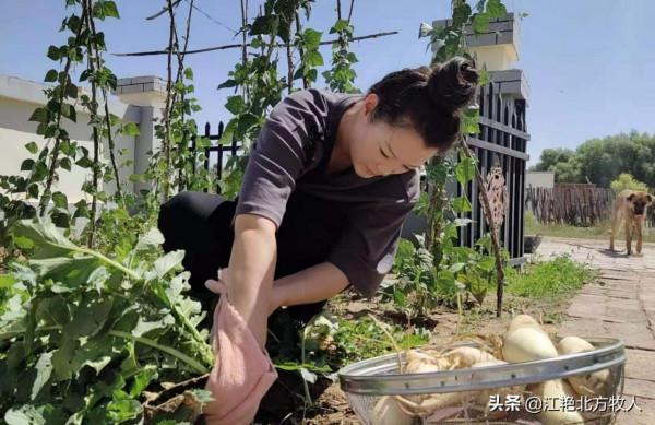 漢族男人娶個蒙古族媳婦為啥這麼難？聽江豔詳細道出其中的原因