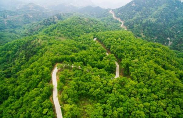 地球上的森林面積增加1倍後會發生什麼？人類將難以承受後果