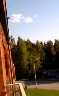 36張圖看精彩世界，巴西情侶被搶，男友撒腿就跑，女子仍淡定吃飯