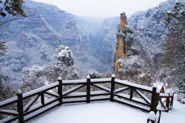 冬已至，一大波美景即將來襲，你準備好get了嗎？