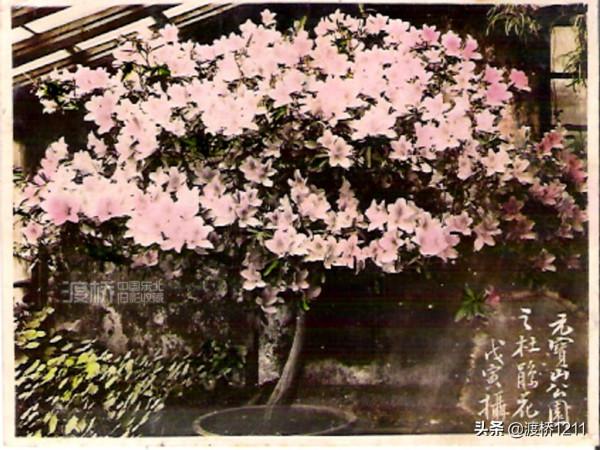 圖說·遼寧丨丹東元寶山公園，1911年始建，曾為“安東八景”之首