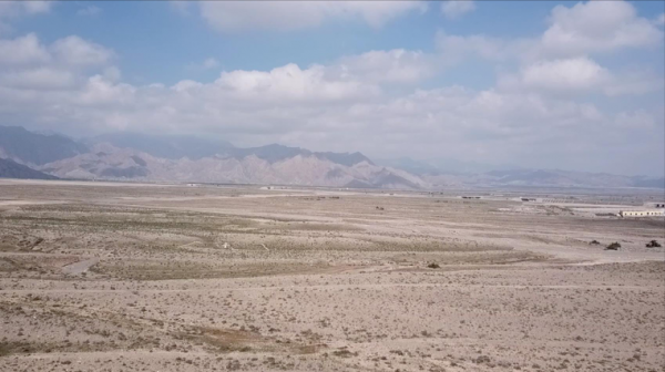 “傻大亨”陳德啟：賺國外的錢，回國投資16億開荒種葡萄，為啥？