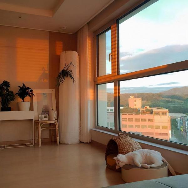 越來越多人買帶落地窗的房子，我家也跟風，入住2年太后悔了