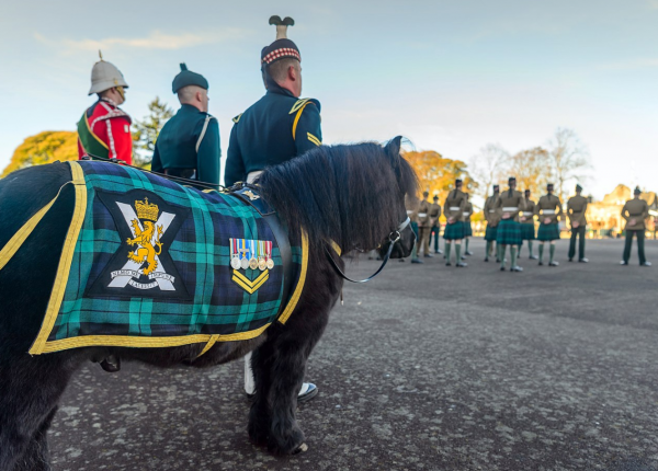 英國有很多種王冠，蘇格蘭王冠已不佩戴，一名公爵專門負責持冠