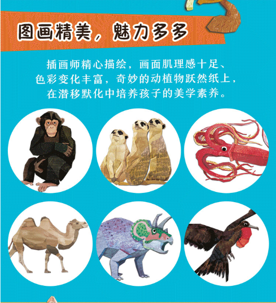 想讓孩子提高專注力、記憶力和觀察力嗎？帶他進行一次叢林探險吧