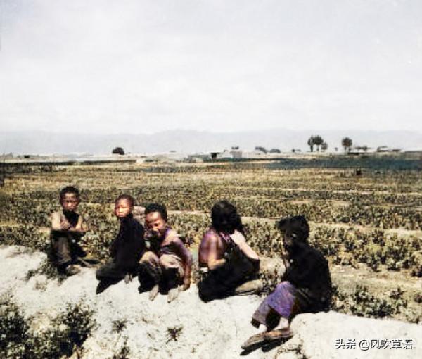 1931年的內蒙古呼和浩特，歸化城外種著鴉片，慈禧出生地綠意盎然