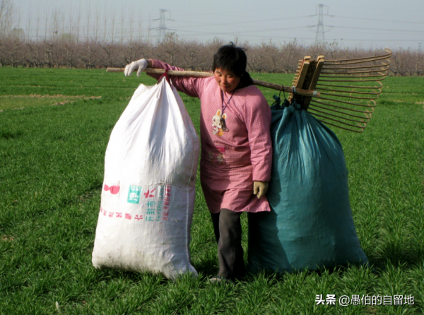 20年前，農村的冬天是這樣的，70後和80後們百看不厭