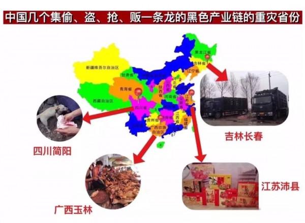 毒殺、販賣、食用!寵物狗失蹤的背後,有什麼令人心悸的產業鏈? 毒殺、販賣、食用!寵物狗失蹤的背後,有什麼令人心悸的產業鏈?