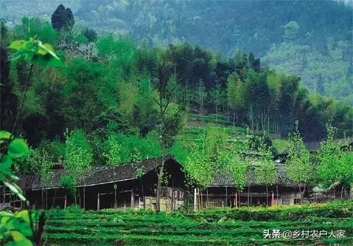 重慶主城周邊15個小眾景點。景色卻讓人流連忘返