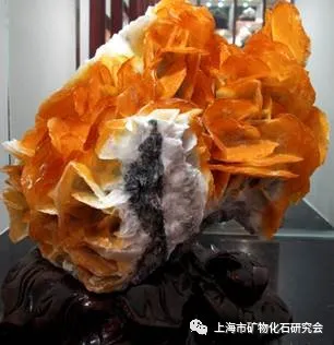 周梅教授：漫話方解石