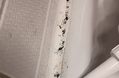 到領導家才發現，有錢人的廚房長這樣！高階又大氣，拍給大家瞧瞧