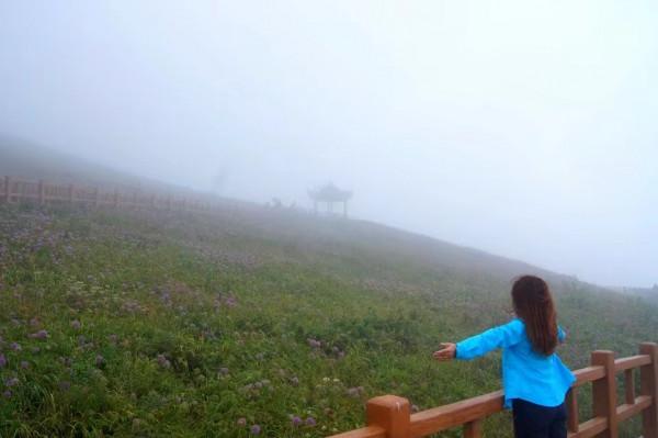 霧裡看花——韭菜坪