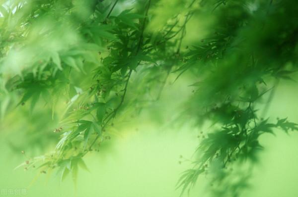 舍友輕生，我退租｜和中介溝通時，我發現，我所有的書都白讀了