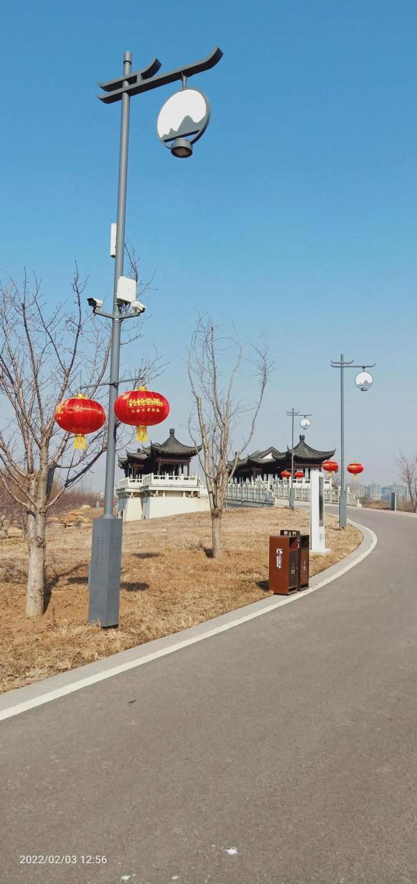 正月初三逛園博園，去花卉市場賞花