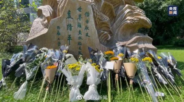 農民豐收節袁隆平雕像前滿是鮮花（組圖）91歲瓜奶奶和袁隆平是同學