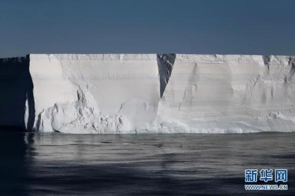 為什麼南極的魚不怕凍?| 科學小館兒 為什麼南極的魚不怕凍?| 科學小館兒