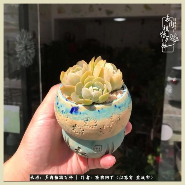 你儘管善良,福報都在路上 你儘管善良,福報都在路上