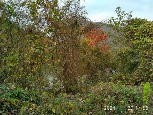 《遊老山響堂水庫》