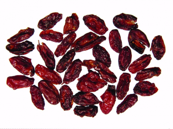 重陽佳節話茱萸 重陽佳節話茱萸