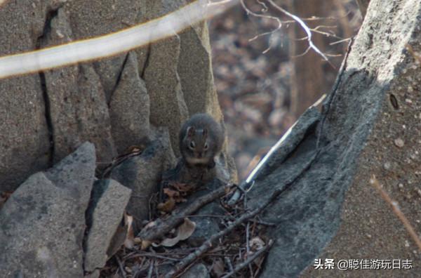 北京徒步登山:房山金陵+景教遺址元代十字寺,金祖山免費風景區 北京徒步登山:房山金陵+景教遺址元代十字寺,金祖山免費風景區