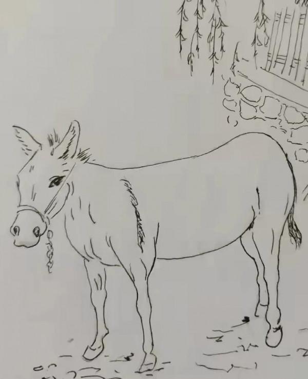 神話故事張三小投師訪友西行記系列九搭救猩猩男孩原創作者宋文周 神話故事張三小投師訪友西行記系列九搭救猩猩男孩原創作者宋文周