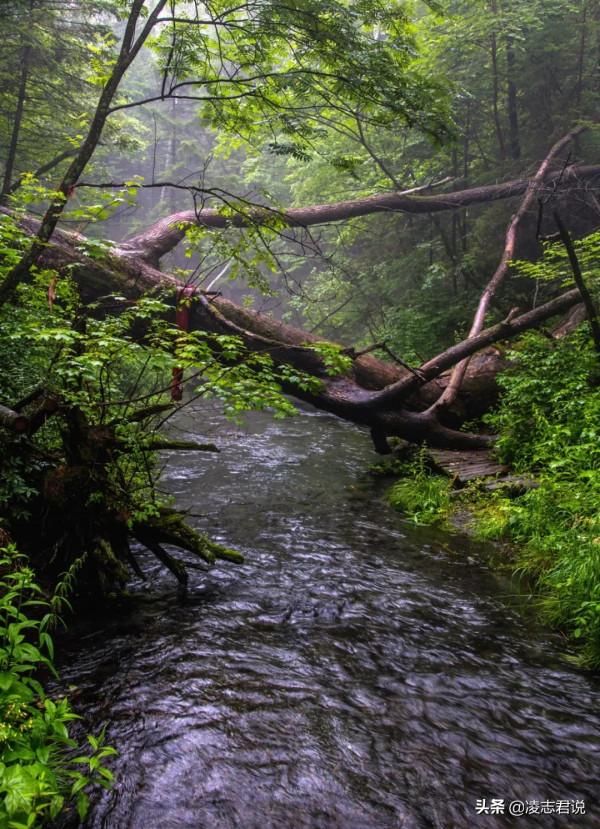 沈白高鐵，架起關內通往長白山的快捷通道