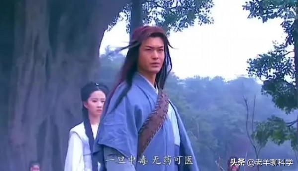 金皮樹葉有多毒?有人用它擦屁股後自殺,英國卻想研製生化武器 金皮樹葉有多毒?有人用它擦屁股後自殺,英國卻想研製生化武器