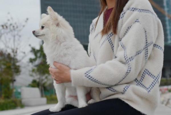 英國一能源公司建議民眾抱寵物喝粥取暖 事後道歉