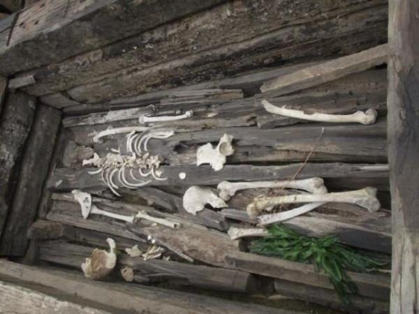 出土7000年前少女,全身插滿利刃多處骨折 出土7000年前少女,全身插滿利刃多處骨折