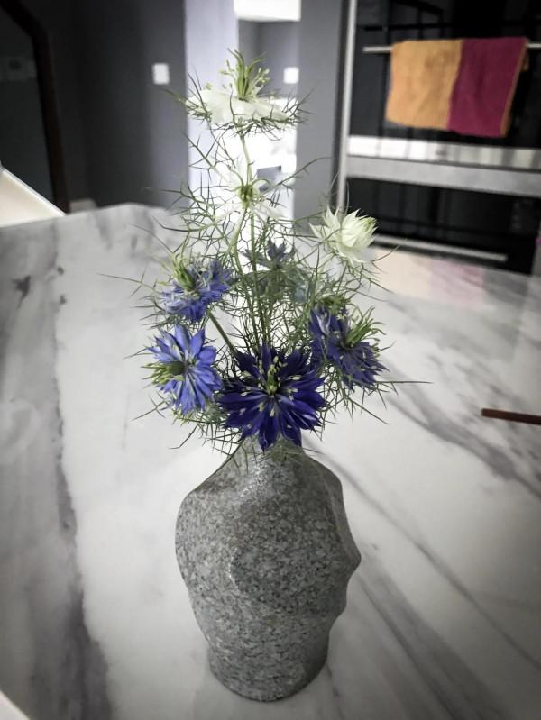 這種花,插花太有氣質了 這種花,插花太有氣質了