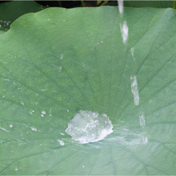 儷人創客 |雲創自清潔塗層——玻璃自明淨 科技助環保