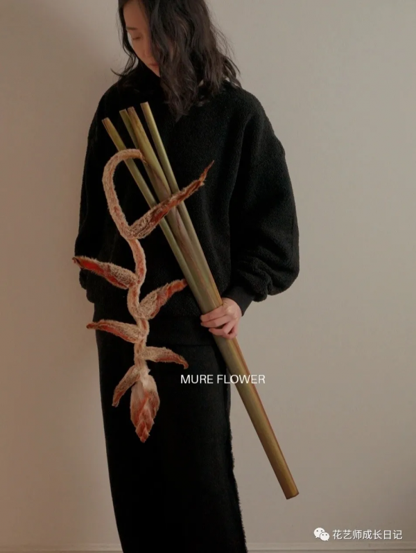 每日一花 | 毛毛鳥蠍尾蕉，小眾且高階的秋日花材~vol.16