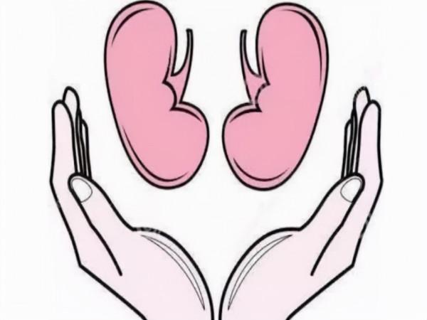 尿毒症腎衰竭為何越來越多？避開傷腎的5個誤區，很重要