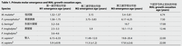 長得最晚還愛惹麻煩,智齒的作用竟然是:證明人類的長壽基因? 長得最晚還愛惹麻煩,智齒的作用竟然是:證明人類的長壽基因?