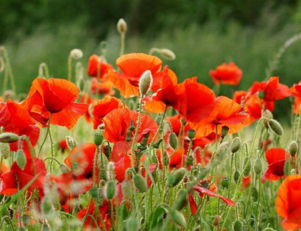 明年,內心堅強的4個星座,遇到困難不退縮,遇到挫折不放棄 明年,內心堅強的4個星座,遇到困難不退縮,遇到挫折不放棄