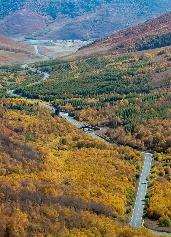 層林盡染的黃崗梁,許你一個秋天的童話 層林盡染的黃崗梁,許你一個秋天的童話