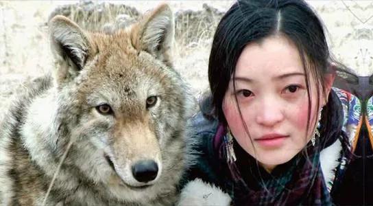 2001年,男子槍殺母狼,公狼狂奔三百里,為妻報仇 2001年,男子槍殺母狼,公狼狂奔三百里,為妻報仇