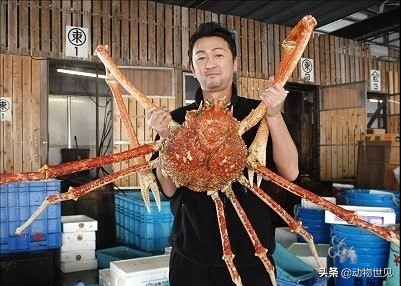 30張罕見的照片，河馬的嘴能有多大，日本廣島核彈後的慘淡