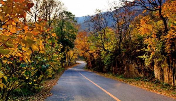 中秋時節到門頭溝賞秋，住民宿，來一段詩意之旅~
