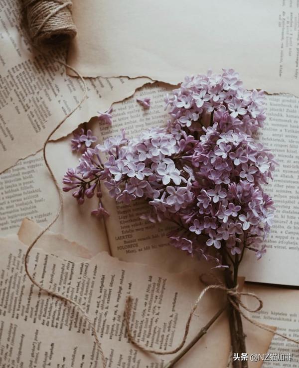 「理財知識」儲蓄要講方法,錢生錢有妙招 「理財知識」儲蓄要講方法,錢生錢有妙招