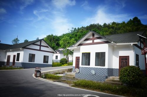 廣東老闆放棄工廠去養羊,很快虧損幾十萬,養牛一年又賺回來了 廣東老闆放棄工廠去養羊,很快虧損幾十萬,養牛一年又賺回來了