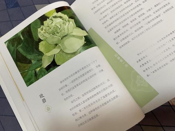 別再給娃說克萊因藍,老祖宗命名顏色很高階,美學啟蒙有力道 別再給娃說克萊因藍,老祖宗命名顏色很高階,美學啟蒙有力道