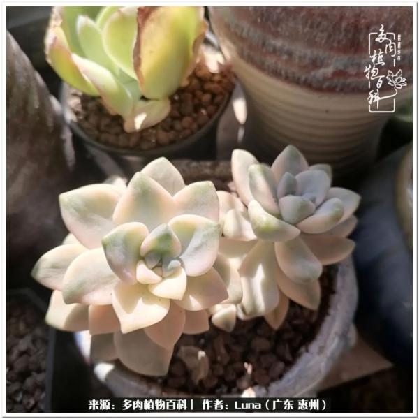 學會和解:與自己、與他人、與世界 學會和解:與自己、與他人、與世界