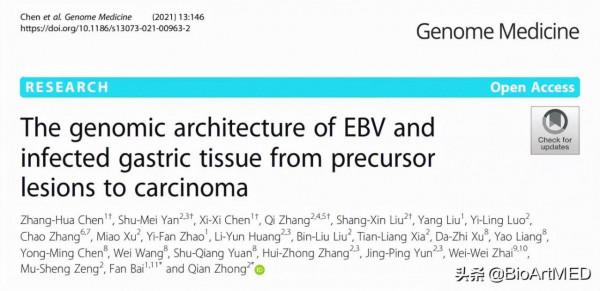 胃癌腫瘤細胞與EB病毒共進化特徵和潛在治療靶點