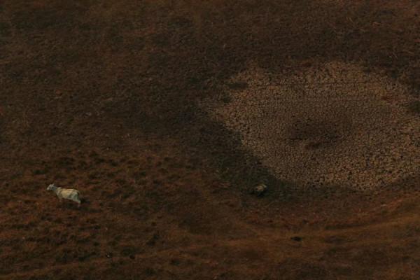 這次,凜冬真的將至了 這次,凜冬真的將至了