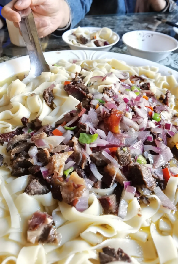 美麗新疆——伊犁馬