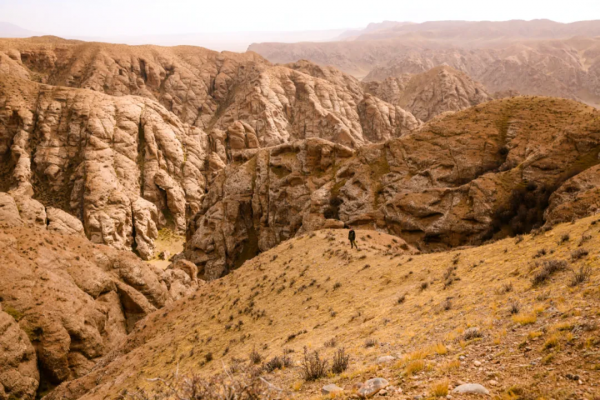 青海的這個地方要火了,秋天一定要去一次,中國最後的一片淨土 青海的這個地方要火了,秋天一定要去一次,中國最後的一片淨土